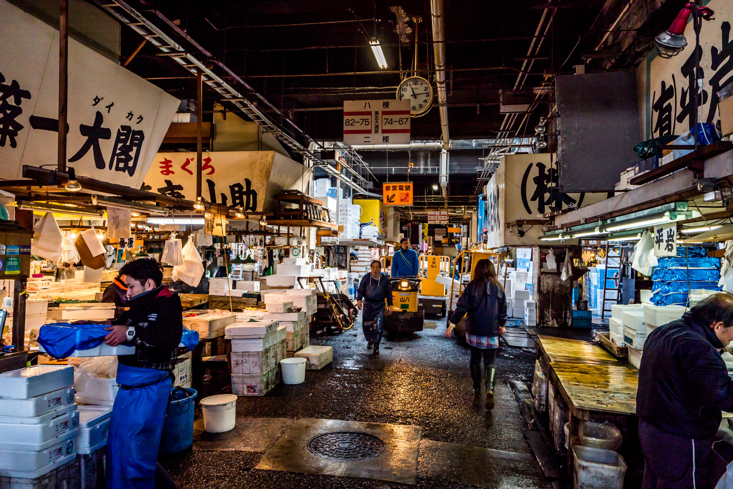 Le marché aux poisson de Tokyo 1