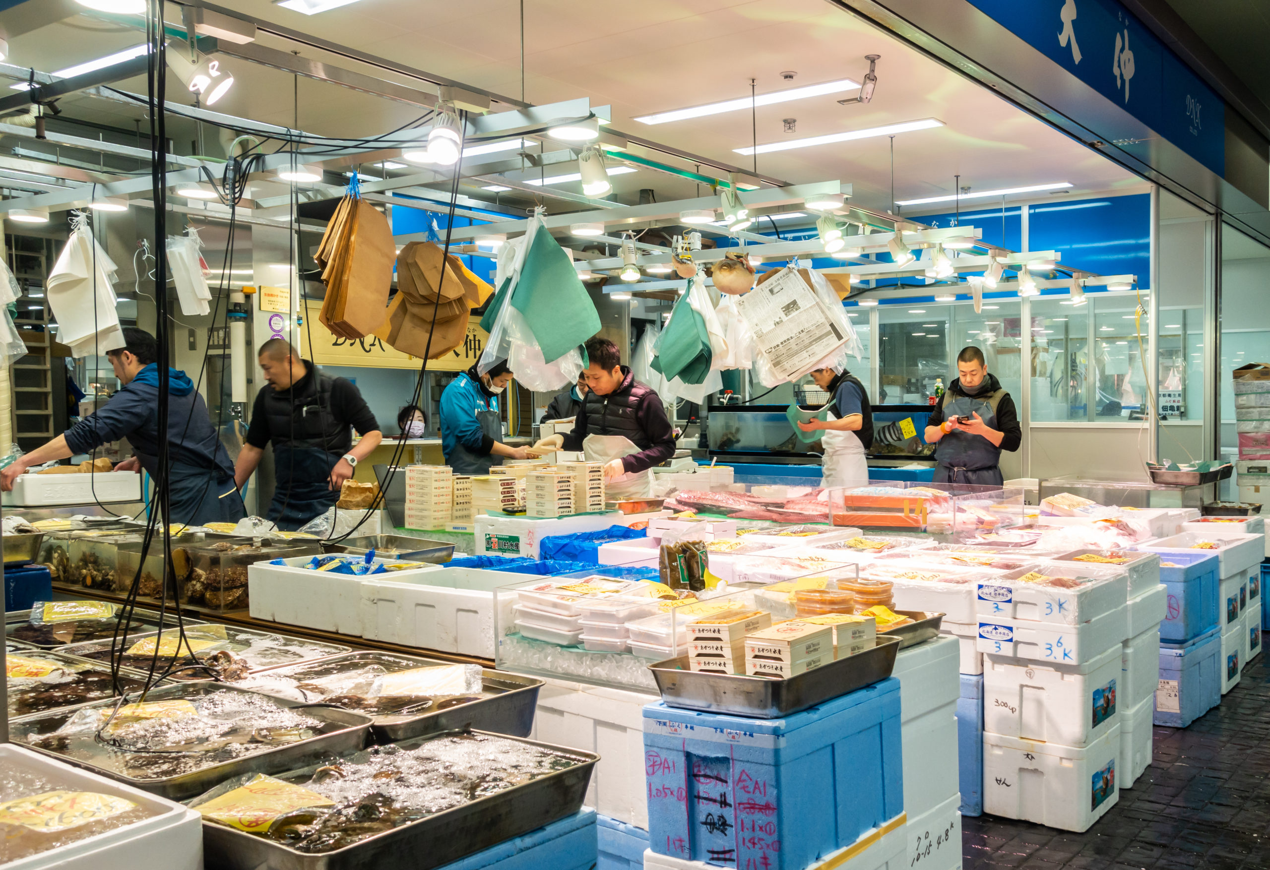 Le-marché-aux-poisson-de-Tokyo-2